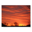 Spring sunrise posters
