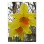 Spring Sunshine Greeting Card