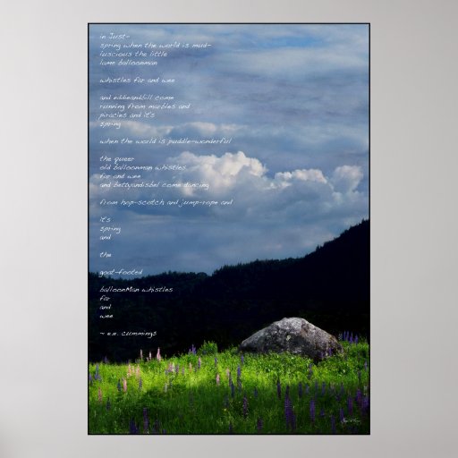 Spring Symphony ee cummings poem poster Zazzle