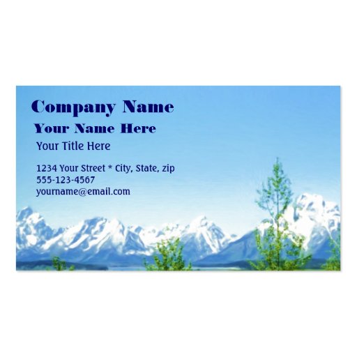 Spring Tetons VISION business card (front side)