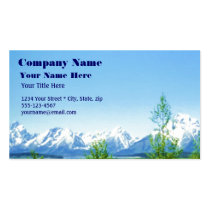 Spring Tetons VISION business card business cards