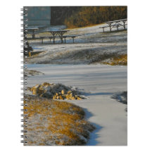 Spring Thaw 5 Spiral Note Books