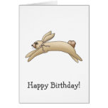 Spring Things · Brown Bunny