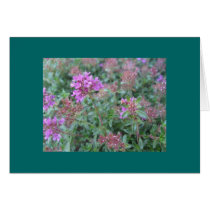 Spring Thyme Blank Card