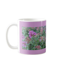 Spring Thyme Mug