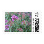 Spring Thyme Postage Stamp