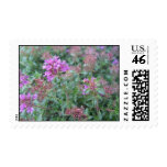 Spring Thyme Stamp