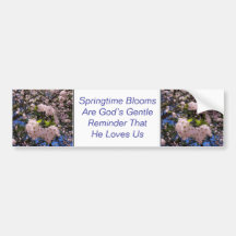 Spring Time Blooms Bumper Sticker