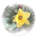 Spring Time Daffodil Stickers by carrollgraphix Spring Time Daffodil Stickers