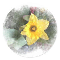 Spring Time Daffodil Stickers