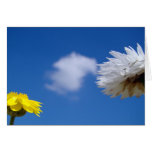 Spring time flowers card