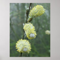 Spring time posters