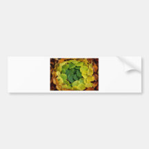Spring to Fall Circle of Leaves Bumper Stickers