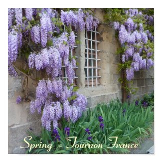 Spring - Tournon France Poster print