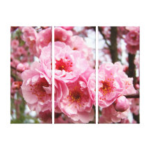 Spring Tree Blossom Flowers Canvas prints Floral