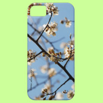 Spring Tree Blossoms casemate cases