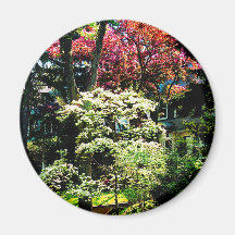 Spring Trees Fridge Magnets
