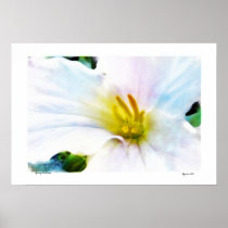 Spring Trillium , poster