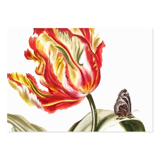 Spring Tulip Butterfly Floral Alternative Health Business Cards