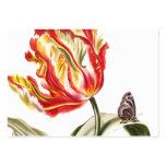 Spring Tulip Butterfly Floral Alternative Health Business Cards