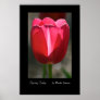 Spring Tulip, by Martha Johnson Print