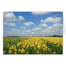 Spring Tulip Festival Landscape Cards