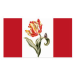 Spring Tulip Floral Business Card Template