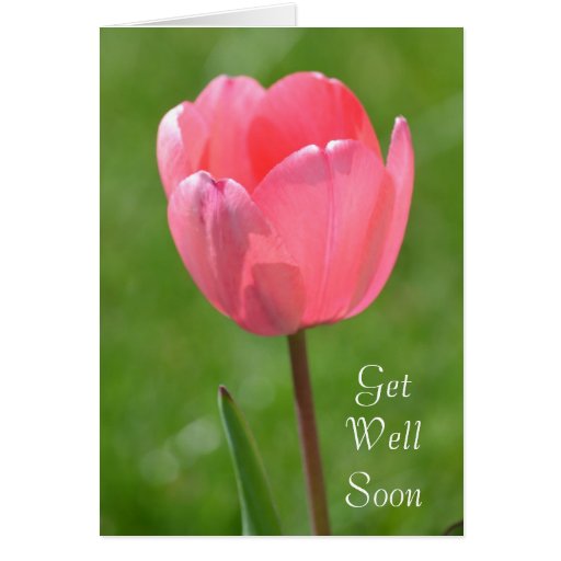 Spring Tulip Flower Get Well Card | Zazzle