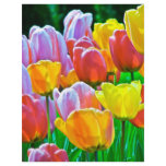 Spring Tulip Flyer