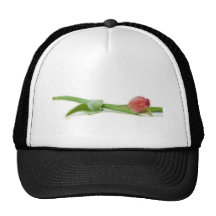 spring tulip mesh hat