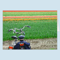 Spring Tulips Bicycles cards