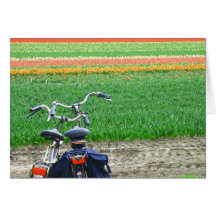 Spring Tulips Bicycles Greeting Card