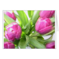 SPRING TULIPS cards