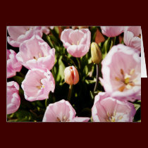 Spring Tulips Card cards