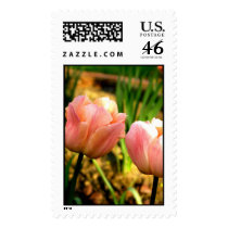 Spring Tulips (Large) postage