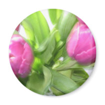 SPRING TULIPS magnets