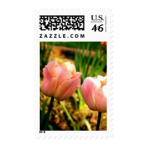 Spring Tulips (Medium) postage by lioneyes Spring Tulips (Medium) postage