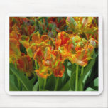 Spring Tulips Mousepads