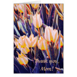 Spring tulips - pastel sketch styled cards