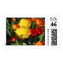 Spring Tulips postage by rwferran Spring Tulips postage