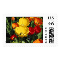 Spring Tulips postage by rwferran Spring Tulips postage