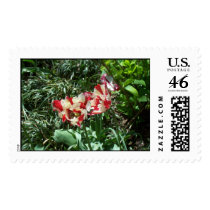 Spring Tulips postage