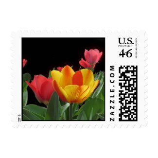 Spring Tulips Postage Stamps