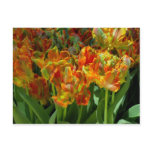 Spring Tulips Postcard