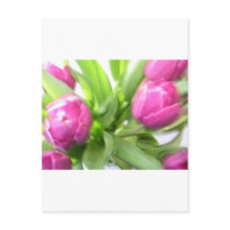 SPRING TULIPS postcards