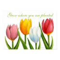 Spring Tulips Print