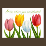 Spring Tulips Print