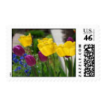 Spring Tulips Stamps stamps