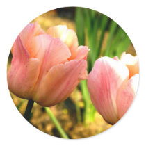 Spring Tulips stickers