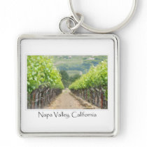 Spring Vineyard in Napa Valley California Key Chains